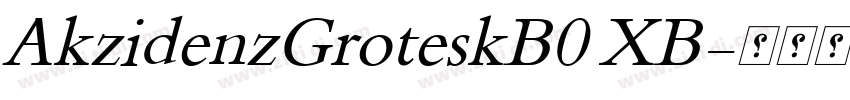 AkzidenzGroteskB0 XB字体转换